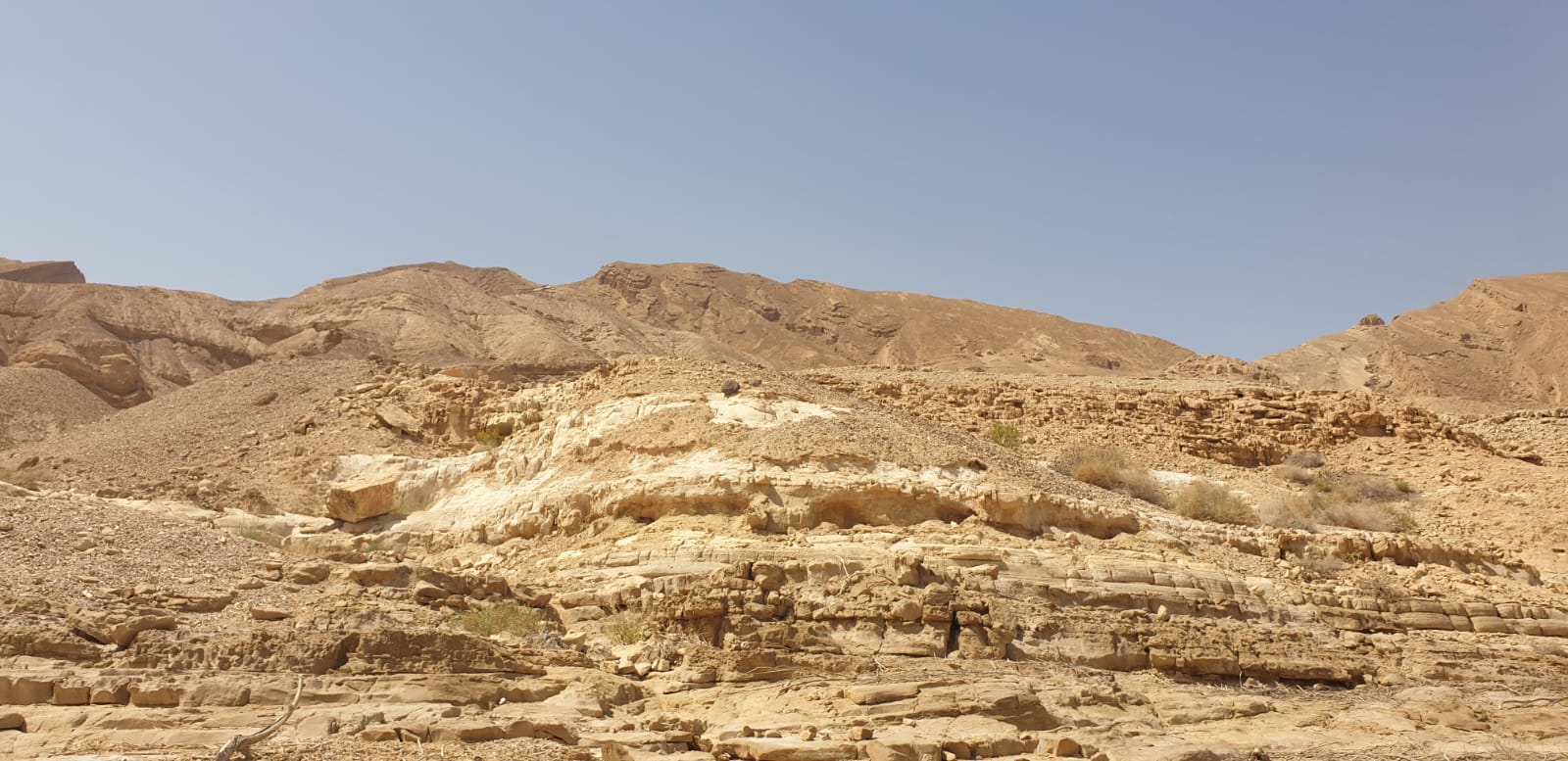 WhatsApp Image 2019-04-13 at 10.30.58 PM.jpeg.jpeg